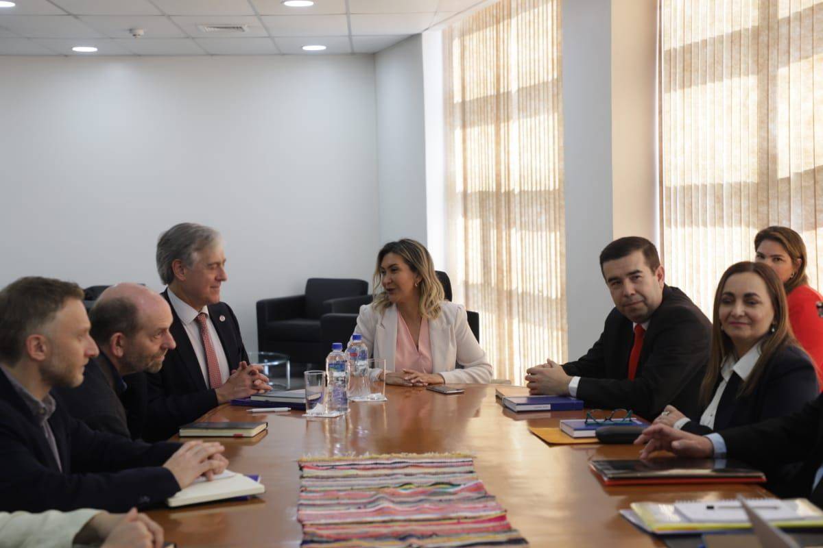 Reunion_con_representante_de_la_OIT.jpeg