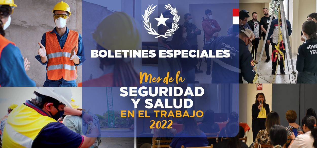 Ministerio de Trabajo, Empleo y Seguridad Social :: Dirección de Salud y Seguridad Ocupacional Ministerio de Trabajo, Empleo y Seguridad Social :: Dirección de Salud y Seguridad Ocupacional