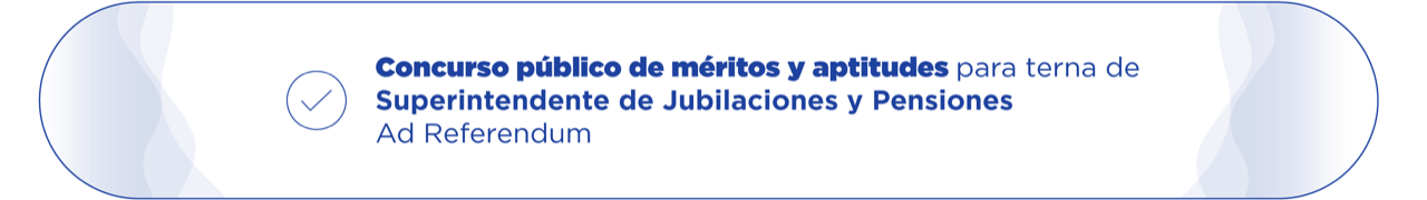 Concurso Público de Méritos y Aptitudes _Ad Referéndum_