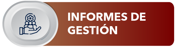 Informe de Gestion